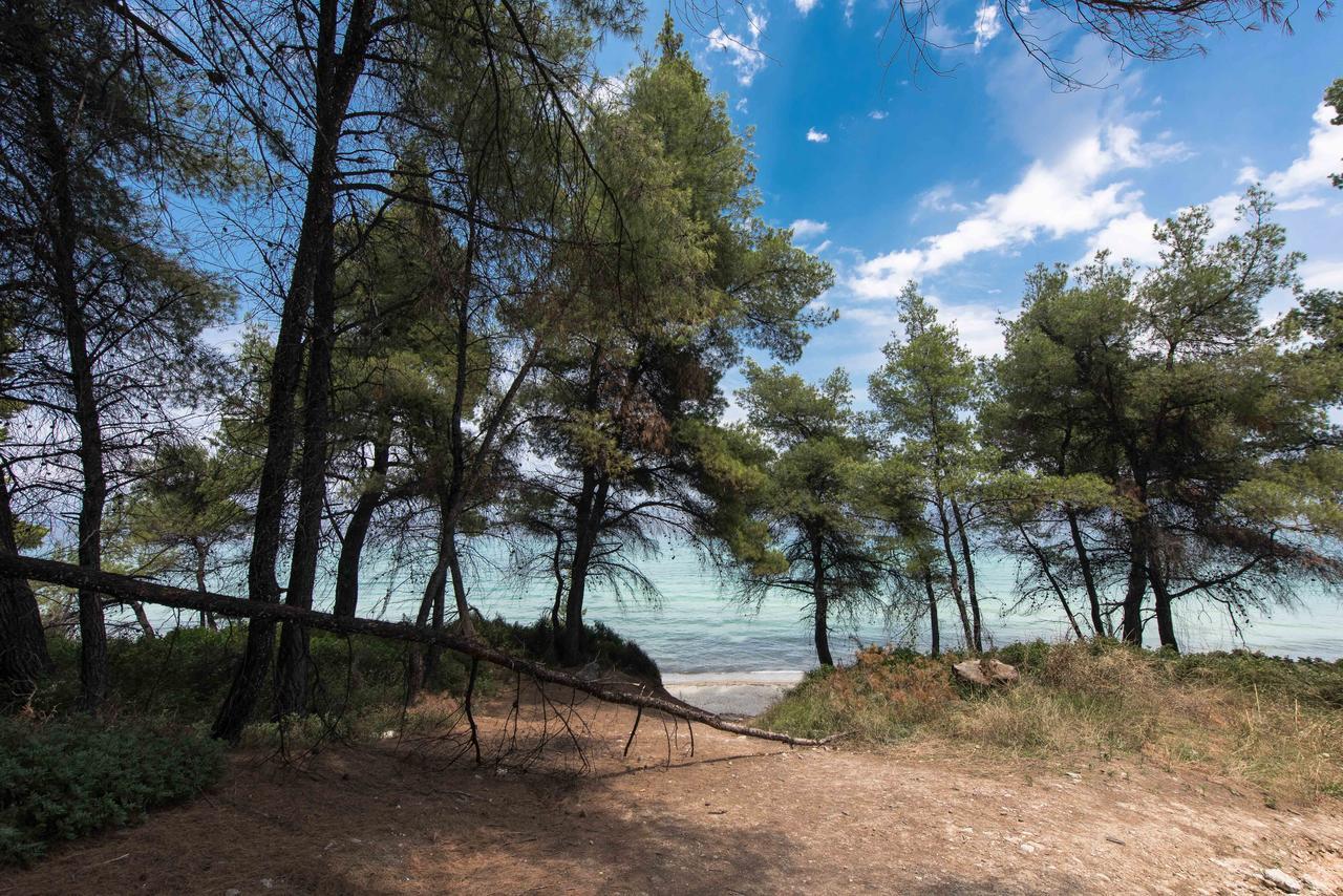 #Luxlikehome - Kriopigi Pines By The Sea Eksteriør bilde